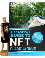 A PRACTICAL GUIDE TO NFT by C.J. Molyneux